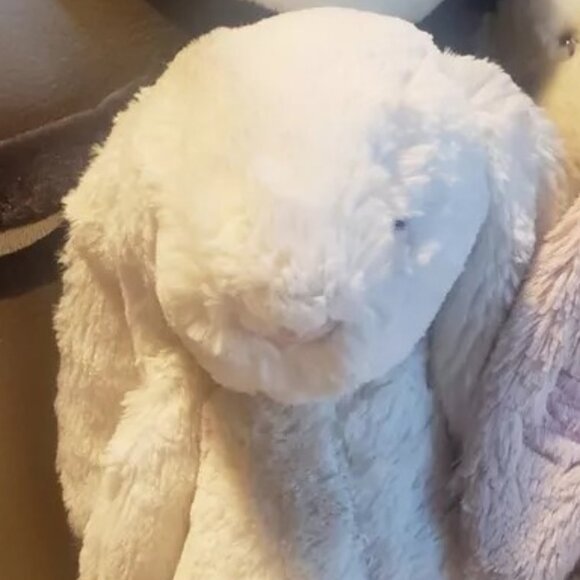 Jellycat Plush Lot 40 New and LOVED BEFORE INCLUDING RARE BUNGLIE MOUSE - Picture 11 of 16